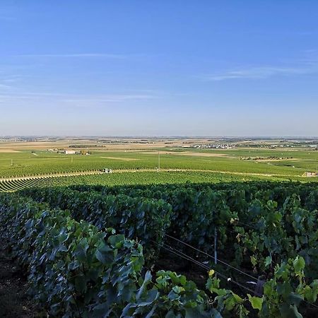 Gîte La bulle de Léna avec petit-déjeuner Flavigny Esterno foto