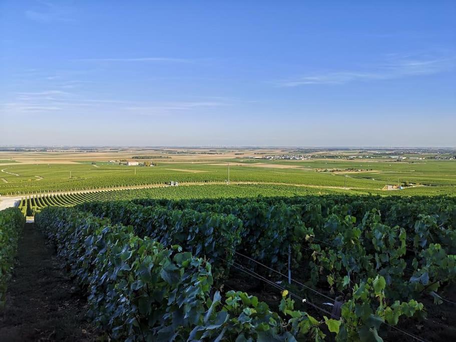 Gîte La bulle de Léna avec petit-déjeuner Flavigny Esterno foto